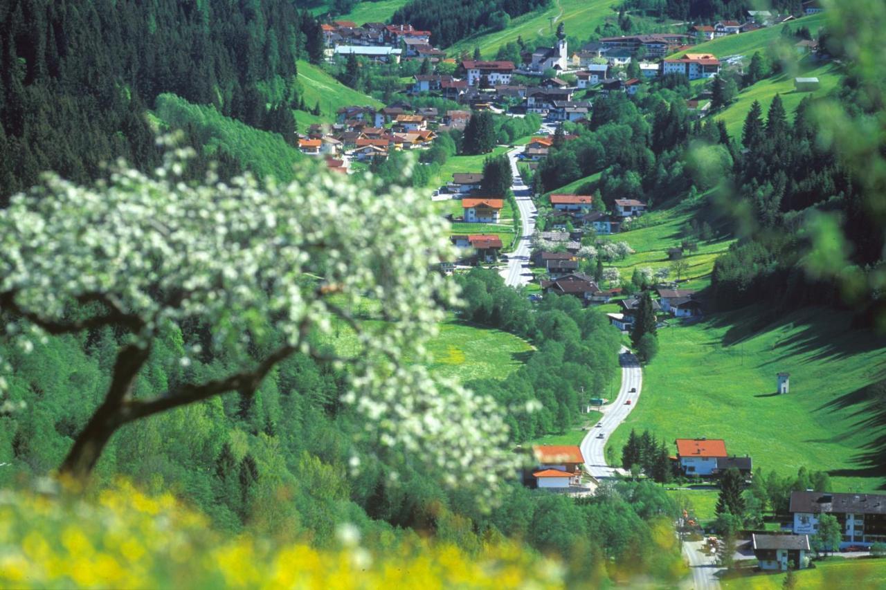 Haus Am Wildbach Pensión Auffach